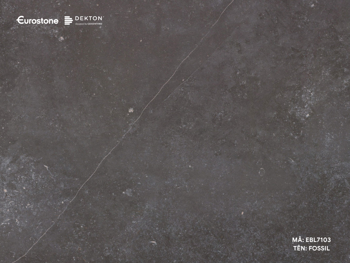 EBL7103 FOSSIL