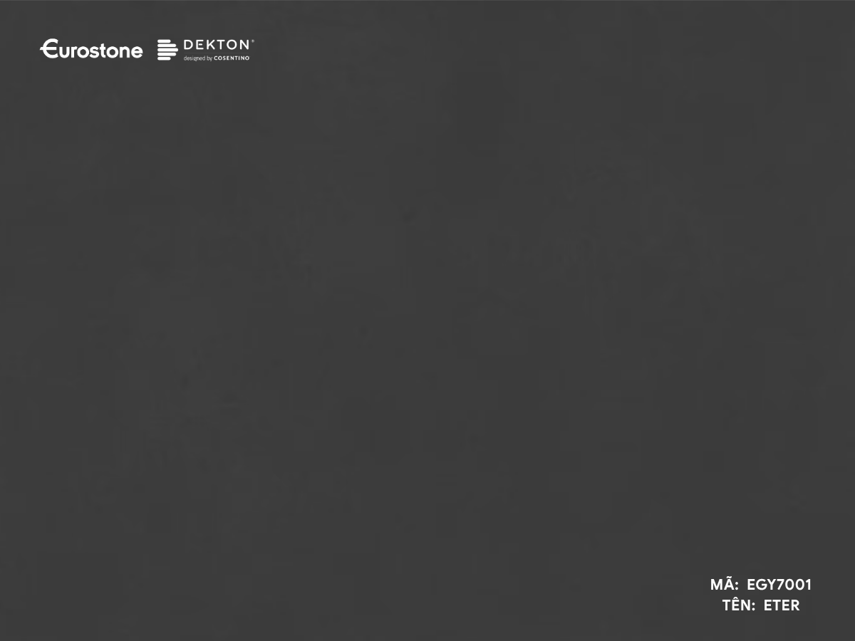 EGY7001 ETER